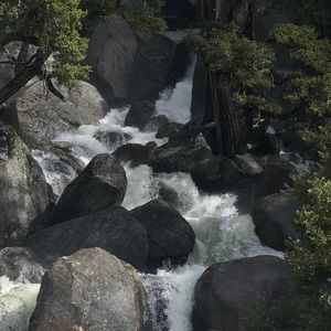 Meet your Posher, Irene